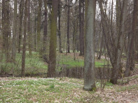 DSCF2952
