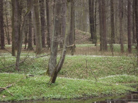 DSCF2956