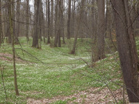 DSCF2959