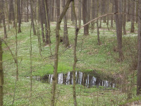 DSCF2960