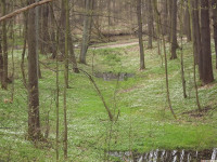 DSCF2964