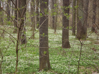 DSCF2974