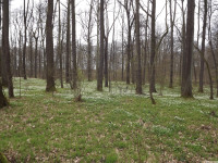 DSCF2976