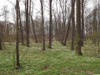 DSCF2980