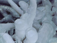 lodsnieg_317