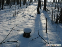 lodsnieg_182