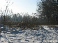 lodsnieg_190