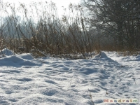 lodsnieg_192
