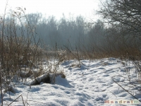 lodsnieg_193