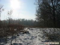 lodsnieg_194