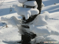 lodsnieg_198
