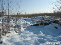 lodsnieg_204
