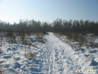 lodsnieg_208