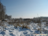 lodsnieg_209