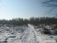 lodsnieg_210