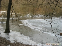 lodsnieg_211