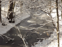 lodsnieg_226