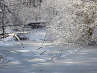lodsnieg_229
