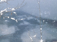 lodsnieg_232