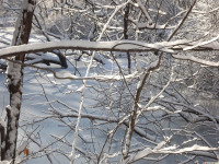 lodsnieg_234