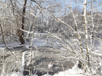 lodsnieg_235