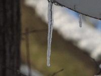 lodsnieg_237