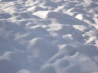 lodsnieg_239