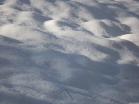 lodsnieg_240