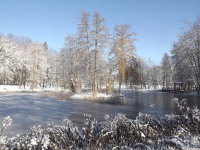 lodsnieg_242