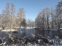 lodsnieg_243