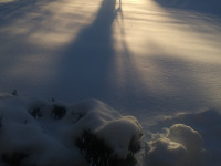 lodsnieg_247