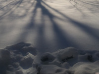 lodsnieg_248