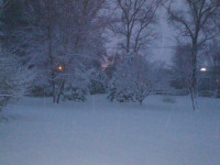 lodsnieg_251