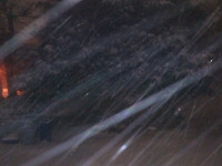 lodsnieg_253