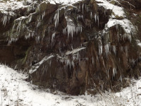 lodsnieg_255