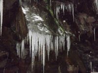 lodsnieg_256