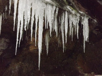 lodsnieg_257