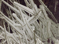 lodsnieg_261