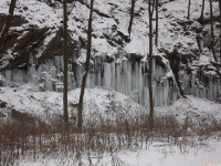 lodsnieg_263