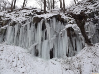 lodsnieg_264