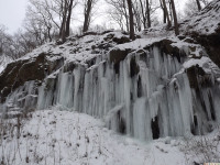 lodsnieg_265