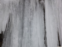 lodsnieg_271