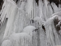 lodsnieg_272