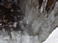 lodsnieg_277