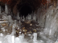 lodsnieg_278
