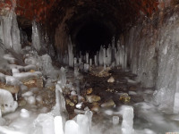 lodsnieg_284