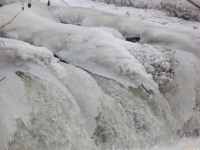 lodsnieg_287