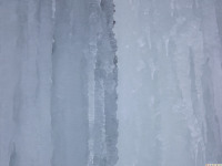 lodsnieg_293