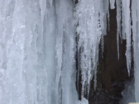 lodsnieg_294