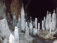lodsnieg_296